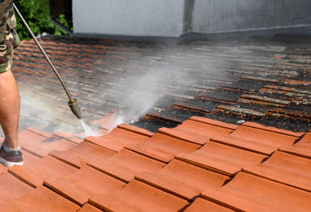 Pressure Washing Services for Businesses in Spring Hill, FL